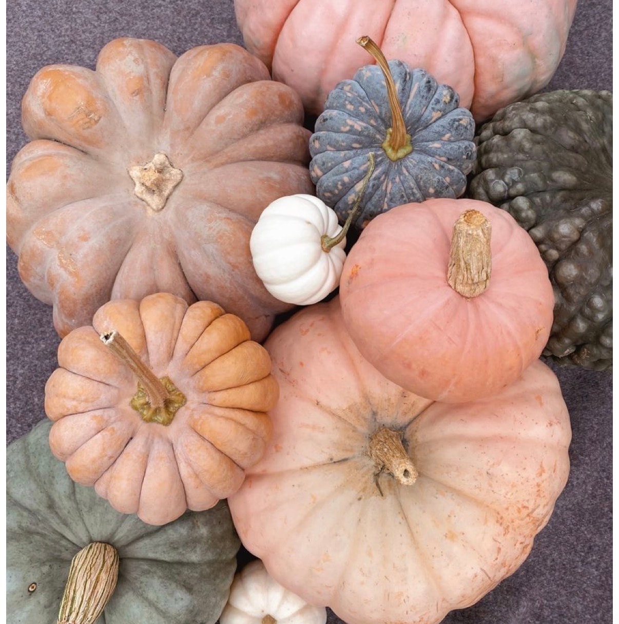 Autumn Wreath Edit